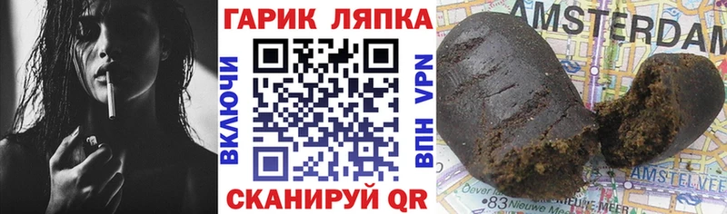 ГАШ hashish  мега tor  Бабушкин 