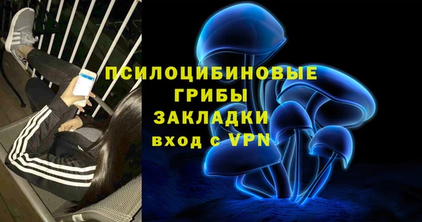 прущие крисы Алексин